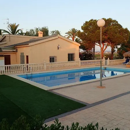 Buganvilla Elche