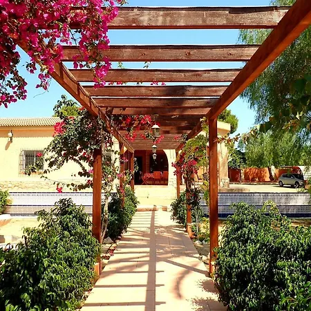 Buganvilla