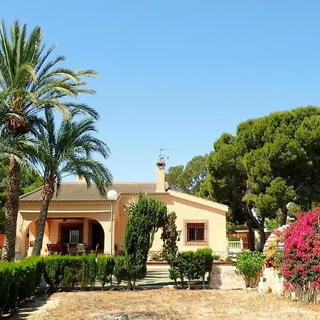 Buganvilla *