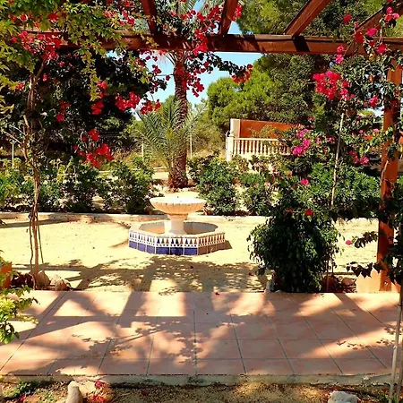 Villa Buganvilla Elche