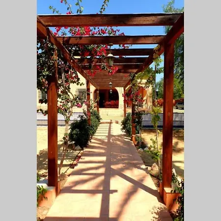 Buganvilla Villa Elche