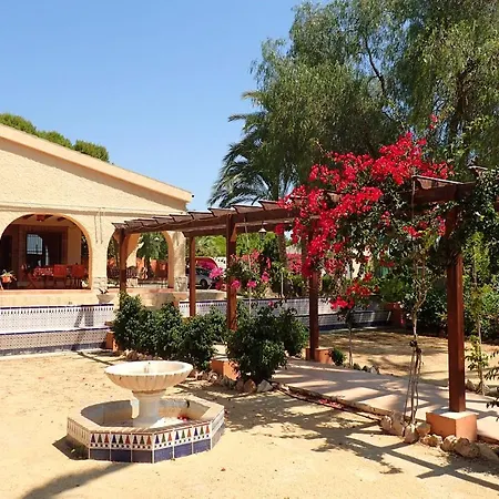 Buganvilla *