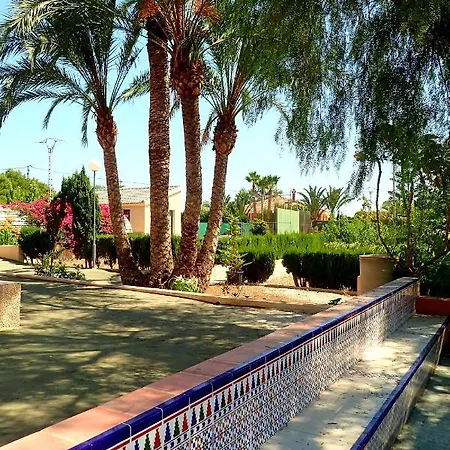 Buganvilla * Elche
