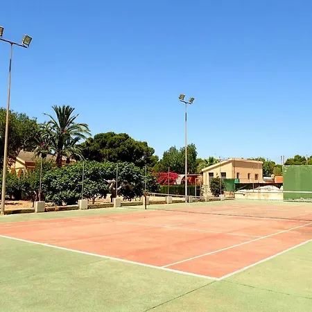 Buganvilla * Elche